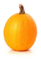 Similar image 395461