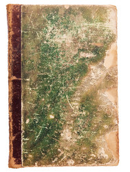 Similar image 395476