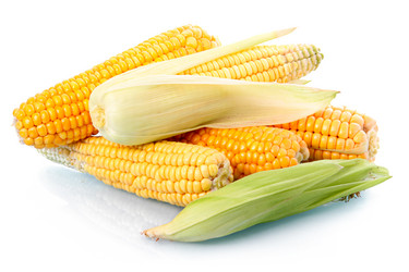 Similar image 395488