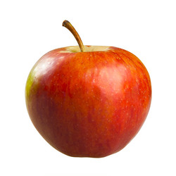 Similar image 395496