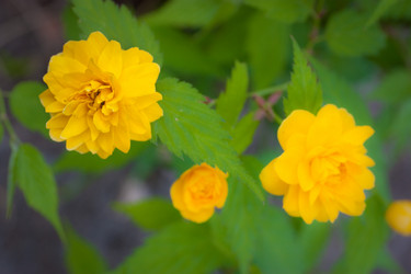 Similar image 395561