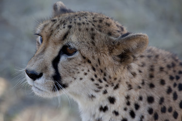 Similar image 395563