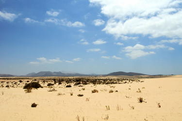 Similar image 395591