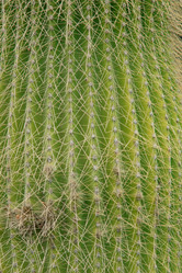 Similar image 395632