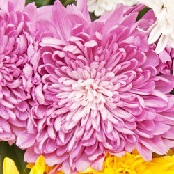 Similar image 395655