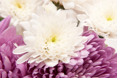 Similar image 395657