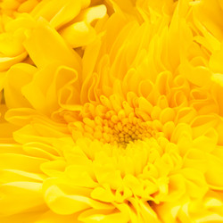 Similar image 395660