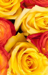 Similar image 395666