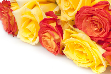 Similar image 395667