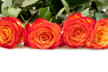 Similar image 395717