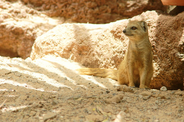 Similar image 395730