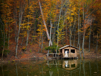 Similar image 395742