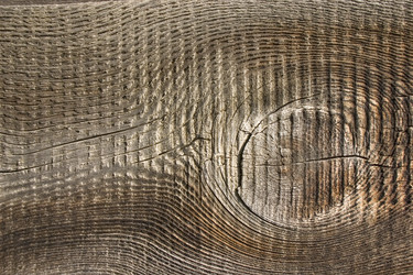 Similar image 395840