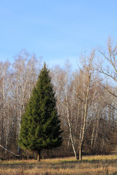 Similar image 395869