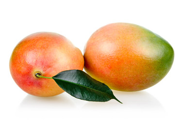 Similar image 395899