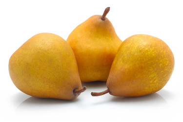 Similar image 395989