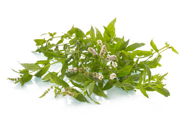 Similar image 396017