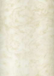 Similar image 396126