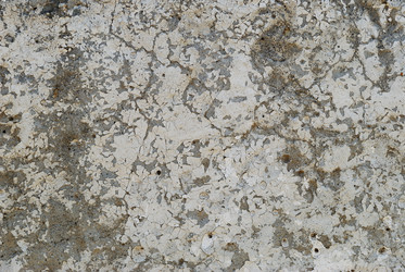 Similar image 396130