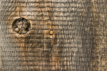 Similar image 396133