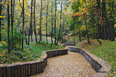 Similar image 396164