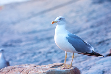 Similar image 396174