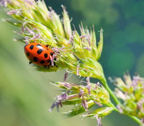 Similar image 396203