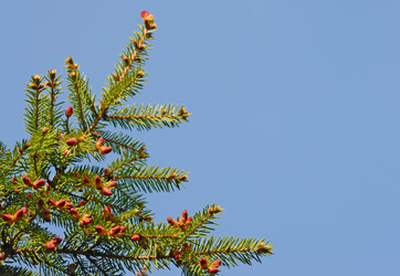 Similar image 396231