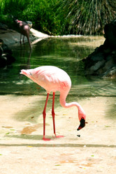 Similar image 396346