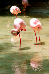 Similar image 396348