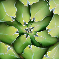 Similar image 396352