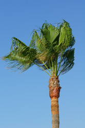 Similar image 396364