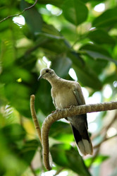 Similar image 396376