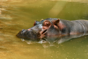 Similar image 396381