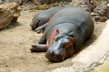 Similar image 396382