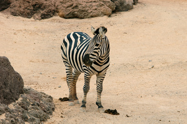 Similar image 396388