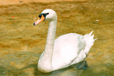 Similar image 396391