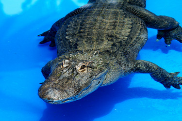 Similar image 396408