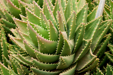 Similar image 396409