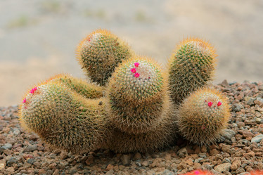 Similar image 396442