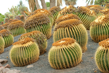 Similar image 396457