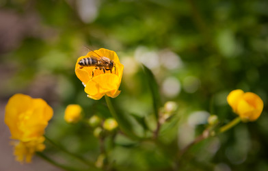 Similar image 396511