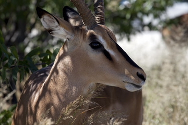 Similar image 396553