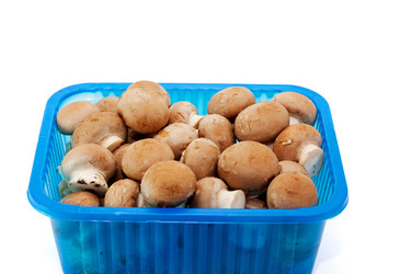 Similar image 396555