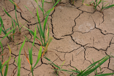 Similar image 396575