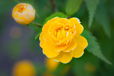 Similar image 396615