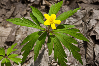 Similar image 396627