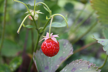 Similar image 396635