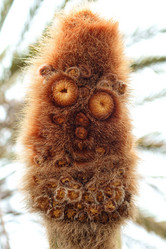 Similar image 396651