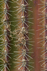 Similar image 396672